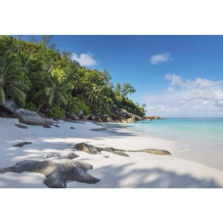 Hotel Constance Lemuria Grand’ Anse Zewnętrze zdjęcie